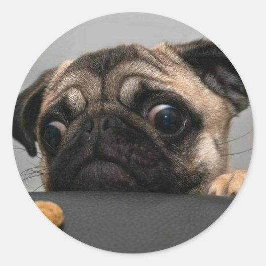 Pug Ronde Sticker (Voorkant)