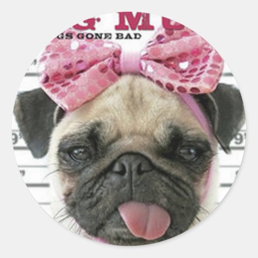 Pug Ronde Sticker (Voorkant)