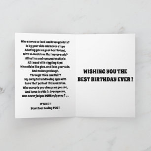 PUG schattig van de hond grappig Kaart