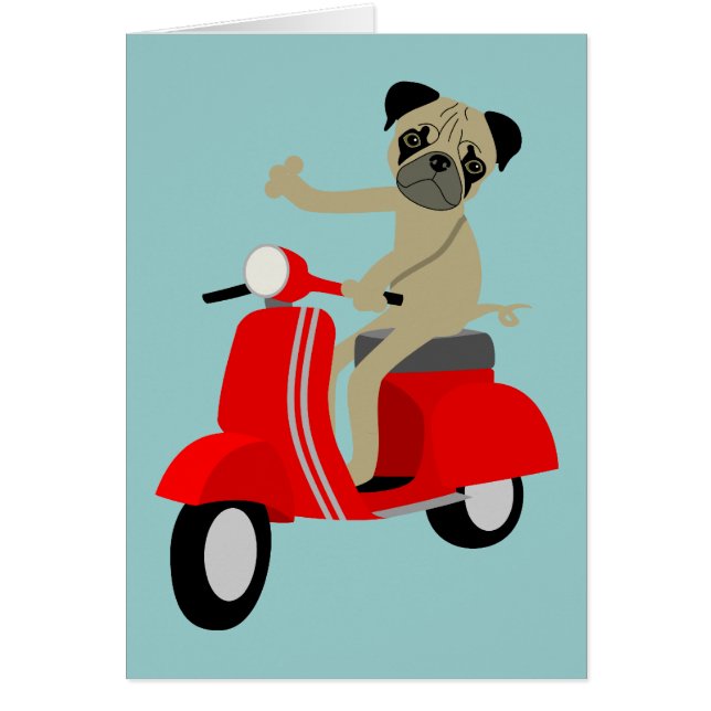 Pug scooter (Voorkant)