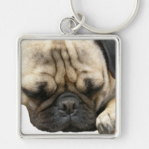 pug sleutelhanger