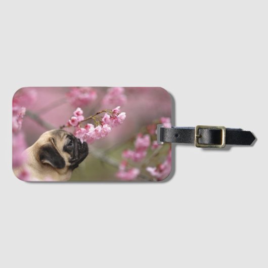 Pug Smelling Cherry Blossom Bagagelabel (Voorkant (horizontaal))