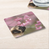 Pug Smelling Cherry Blossom Kartonnen Onderzetters (Schuin)