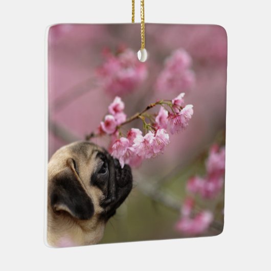Pug Smelling Cherry Blossom Keramisch Ornament (Rechts)