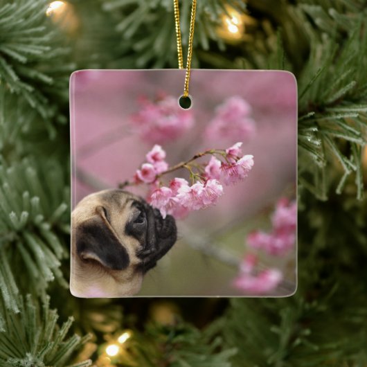 Pug Smelling Cherry Blossom Keramisch Ornament (Boom)