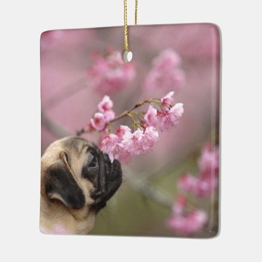 Pug Smelling Cherry Blossom Keramisch Ornament (Links)