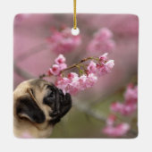 Pug Smelling Cherry Blossom Keramisch Ornament (Achterkant)