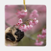 Pug Smelling Cherry Blossom Keramisch Ornament (Voorkant)