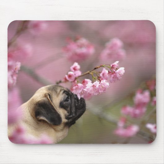 Pug Smelling Cherry Blossom Muismat (Voorkant)