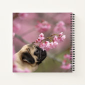 Pug Smelling Cherry Blossom Notitieboek (Achterkant)