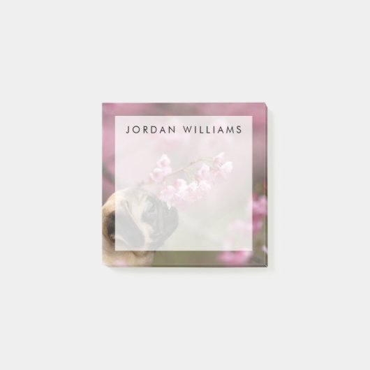 Pug Smelling Cherry Blossom Post-it® Notes (Voorkant)