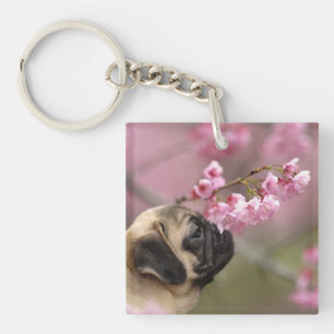 Pug Smelling Cherry Blossom Sleutelhanger