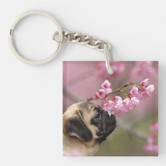 Pug Smelling Cherry Blossom Sleutelhanger (Voorkant)