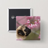 Pug Smelling Cherry Blossom Vierkante Button 5,1 Cm (Voorkant /achterkant)