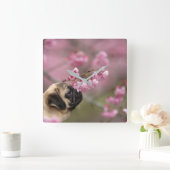Pug Smelling Cherry Blossom Vierkante Klok (Huis)