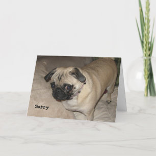 Pug - Sorry Kaart