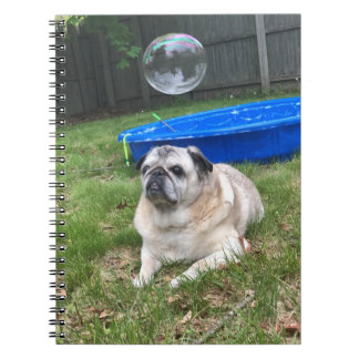 Pug Spiral Notitieboek
