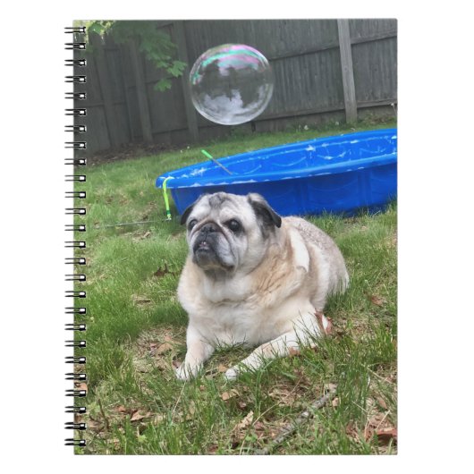 Pug Spiral Notitieboek (Voorkant)