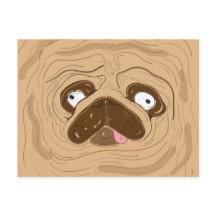 Pug Spreating Wrinkles Face