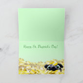 Pug St. Patrick de Kaart van de Dag (Binnen)