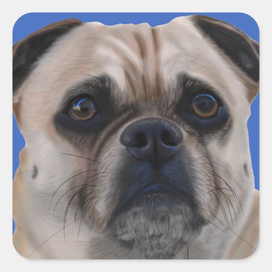 Pug stickers (Voorkant)