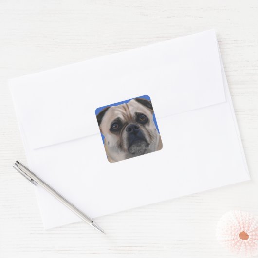 Pug stickers (Envelop)