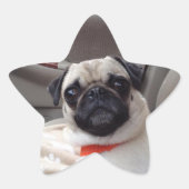 Pug Stickers (Voorkant)