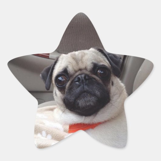Pug Stickers (Voorkant)