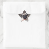 Pug Stickers (Tas)