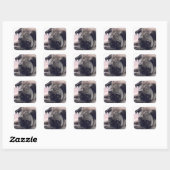 Pug stickers (Vel)