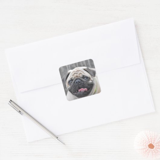 Pug Stickers (Envelop)