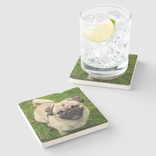 Pug Stone Onderzetter (Zijkant)