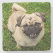 Pug Stone Onderzetter (Voorkant)