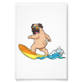 Pug surfplankglazen voor insecten foto afdruk (Voorkant)