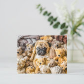 Pug Surrounded by Plush Teddy Bears Briefkaart (Staand voorkant)
