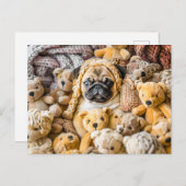 Pug Surrounded by Plush Teddy Bears Briefkaart (Voorkant / Achterkant)