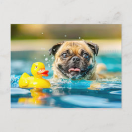 Pug Swimming with Rubber Duck in Pool Briefkaart