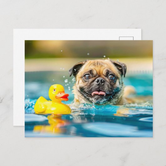 Pug Swimming with Rubber Duck in Pool Briefkaart (Voorkant / Achterkant)