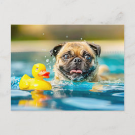 Pug Swimming with Rubber Duck in Pool Briefkaart