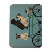Pug Tandem Magneet (Verticaal)