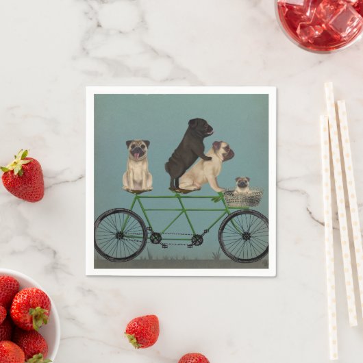 Pug Tandem Servet (Insitu)