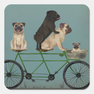 Pug Tandem Vierkante Sticker