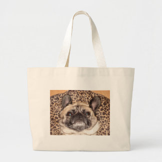 PUG TAS