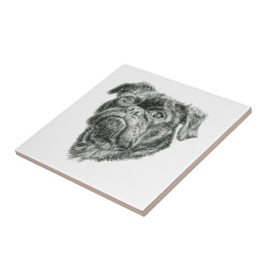 Pug Tegeltje (Zijkant)