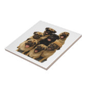 Pug Tegeltje (Zijkant)