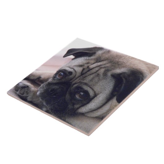 Pug Tile Tegeltje (Zijkant)