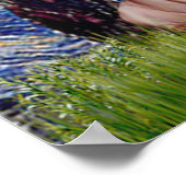 Pug Trio (1F,2B) - Sterrennacht Poster (Hoek)