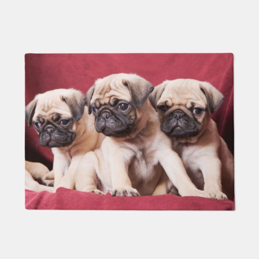 Pug Triplets Deurmat (Voorkant)