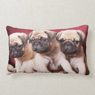 Pug Triplets Kussen
