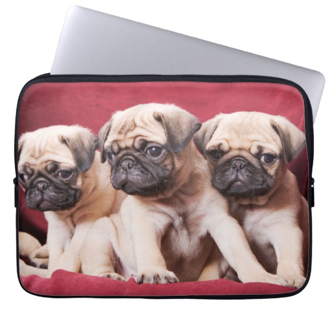 Pug Triplets Laptop Sleeve (Voorkant)